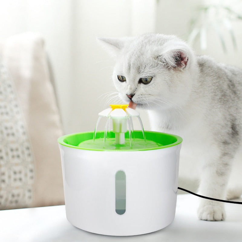Fonte de Água | Para Gatos